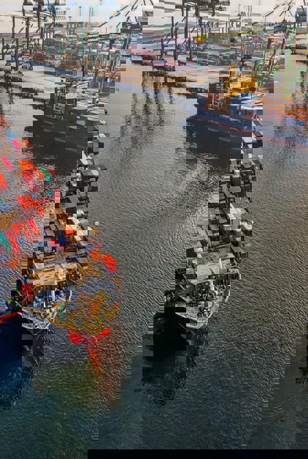 StarCargo Transporte marítimo